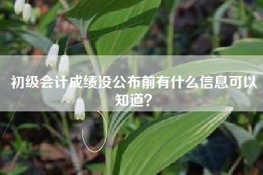 初级会计成绩没公布前有什么信息可以知道？