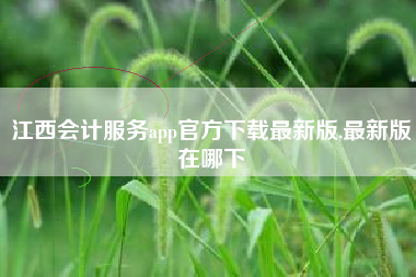 江西会计服务app官方下载最新版,最新版在哪下