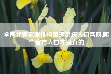 全国代理记账机构管理系统入口官网,哪个官方入口才是真的