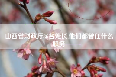 山西省财政厅36名处长,他们都曾任什么职务