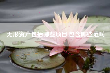 无形资产包括哪些项目,包含哪些范畴