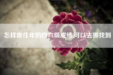 怎样查往年的四六级成绩,可以去哪找到