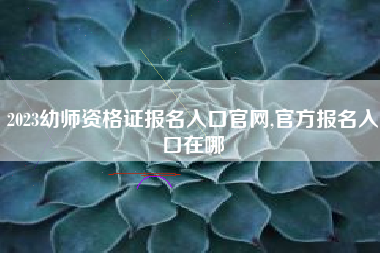 详细阅读:2023幼师资格证报名入口官网,官方报名入口在哪 2023幼师资格证报名入口官网,官方报名入口在哪
