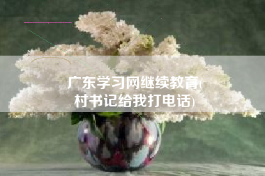广东学习网继续教育(
村书记给我打电话)