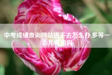 中考成绩查询网站进不去怎么办,多等一会儿有用吗