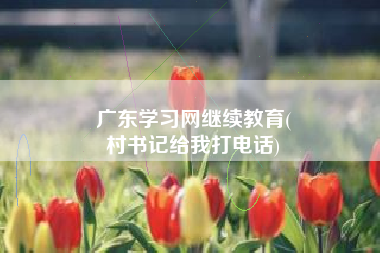 广东学习网继续教育(
村书记给我打电话)