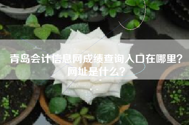 青岛会计信息网成绩查询入口在哪里？网址是什么？
