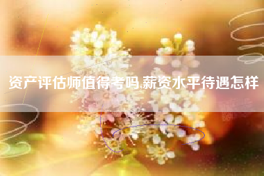 资产评估师值得考吗,薪资水平待遇怎样