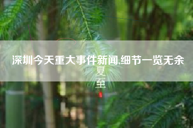深圳今天重大事件新闻,细节一览无余