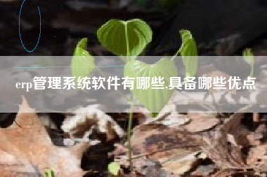 erp管理系统软件有哪些,具备哪些优点