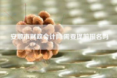 安顺市财政会计网,需要提前报名吗
