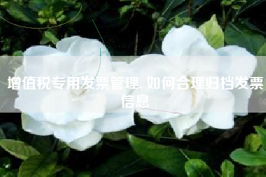 增值税专用发票管理, 如何合理归档发票信息