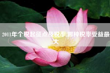 2011年个税起征点及税率,哪种税率受益最大