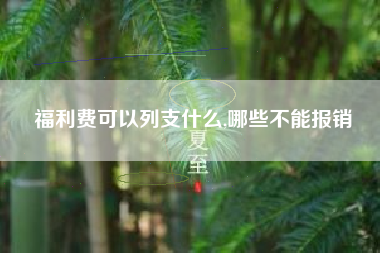 福利费可以列支什么,哪些不能报销
