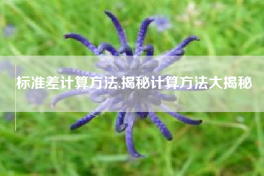 标准差计算方法,揭秘计算方法大揭秘