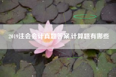 2019注会会计真题答案,计算题有哪些