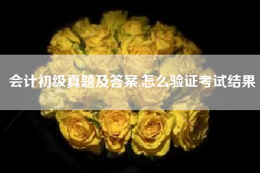 会计初级真题及答案,怎么验证考试结果