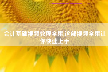 会计基础视频教程全集,这部视频全集让你快速上手
