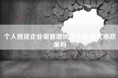 个人独资企业需要缴纳什么税,有优惠政策吗