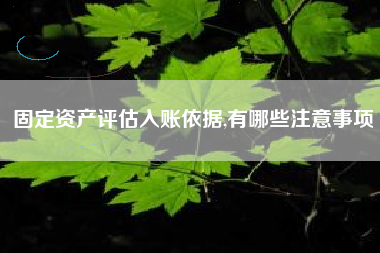 固定资产评估入账依据,有哪些注意事项