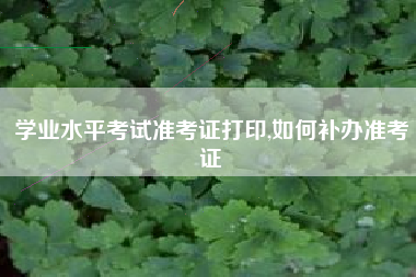 学业水平考试准考证打印,如何补办准考证