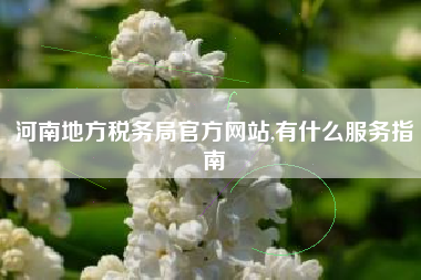 河南地方税务局官方网站,有什么服务指南