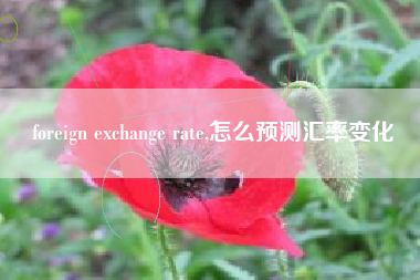 foreign exchange rate,怎么预测汇率变化