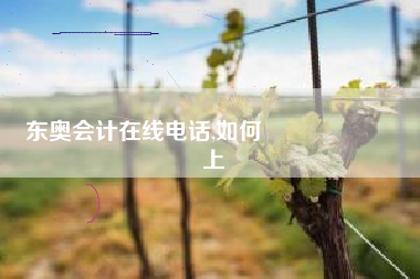 东奥会计在线电话,如何聯絡東奧會計線上