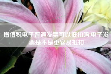 增值税电子普通发票可以抵扣吗,电子发票是不是更容易抵扣