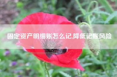 固定资产明细账怎么记,降低记账风险