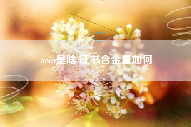 acca是啥,证书含金量如何