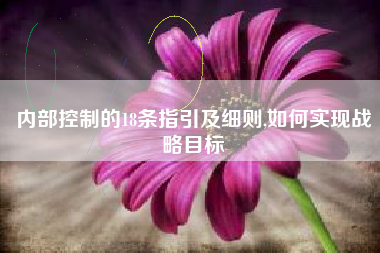 内部控制的18条指引及细则,如何实现战略目标