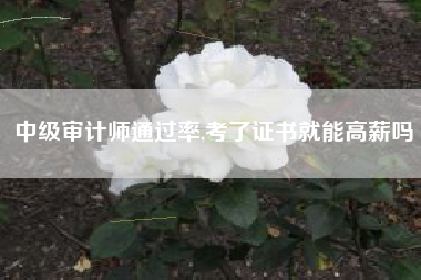 中级审计师通过率,考了证书就能高薪吗
