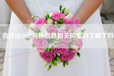 会计法2021,与你息息相关的变动了解了吗