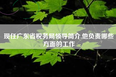 现任广东省税务局领导简介,他负责哪些方面的工作