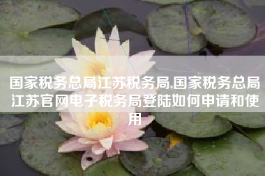 国家税务总局江苏税务局,国家税务总局江苏官网电子税务局登陆如何申请和使用