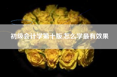 详细阅读:初级会计学第十版,怎么学最有效果 初级会计学第十版,怎么学最有效果