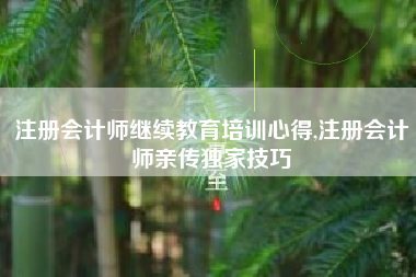 注册会计师继续教育培训心得,注册会计师亲传独家技巧