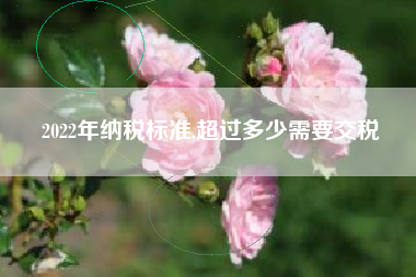 2022年纳税标准,超过多少需要交税