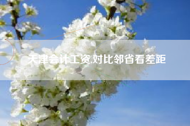 天津会计工资,对比邻省看差距