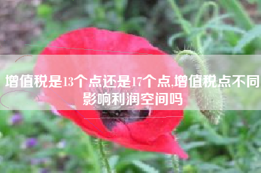 增值税是13个点还是17个点,增值税点不同影响利润空间吗