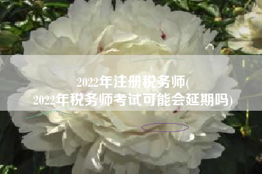 2022年注册税务师(
2022年税务师考试可能会延期吗)