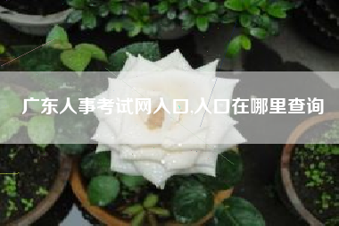 广东人事考试网入口,入口在哪里查询