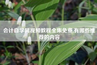 详细阅读:会计自学网视频教程全集免费,有哪些推荐的内容 会计自学网视频教程全集免费,有哪些推荐的内容
