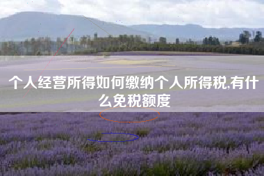 个人经营所得如何缴纳个人所得税,有什么免税额度