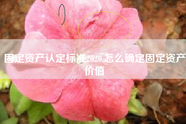 固定资产认定标准2020,怎么确定固定资产价值
