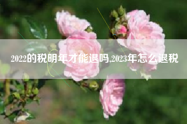 2022的税明年才能退吗,2023年怎么退税