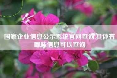 国家企业信息公示系统官网查询,具体有哪些信息可以查询
