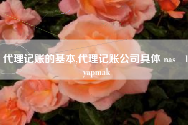 代理记账的基本,代理记账公司具体 nasıl yapmak