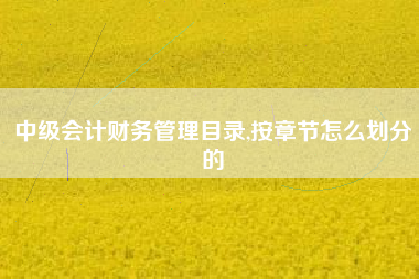 详细阅读:中级会计财务管理目录,按章节怎么划分的 中级会计财务管理目录,按章节怎么划分的